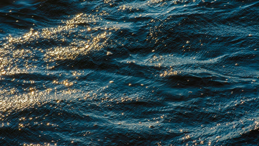 Exploring the Oceans - A New Chapter by Mickey